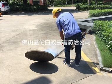 大瀝除四害殺蟲滅蚊