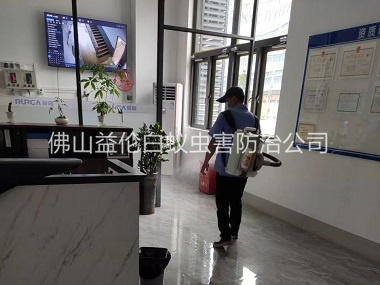 九江室內(nèi)殺滅蚊蠅工程